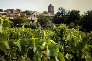 Le salon du vin bio de Montpeyroux (Puy-de-Dôme) maintenu en 2021 ?