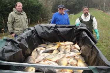 Plus de 700 kg de poissons déversés