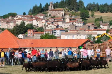 La fête de la brebis a rassemblé éleveurs et habitants