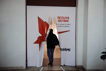 La maîtrise de l'origami expliquée par le maître Tetsuya Gotani au centre culturel à Vichy