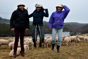 Comment le collectif des "bergères s'emmêlent" transforment et revendent la laine de leurs brebis en haute Corrèze ?