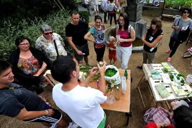 Lempdes accueillait le premier festival Alternatidômes, ou comment changer nos habitudes