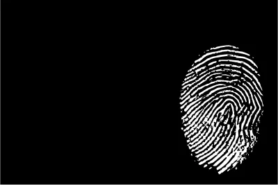 Newsletter Faits divers