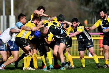 Covid-19 : La Fédération Française annonce l'arrêt des compétitions de rugby amateur