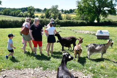 En images : veaux, vaches, cochons et bien d'autres vous attendent au Domaine de la Ganne à Prémilhat (Allier)