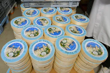 Risques de listeria : une vaste mesure de rappel pour une trentaine de fromages de la Société laitière de Vichy