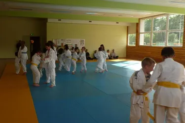 Stages et taïso pour l'école de judo