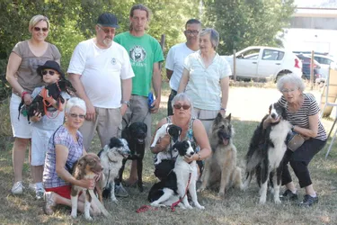 Un club canin dans la zone nord de Chambaret pour les chiens à partir de deux mois