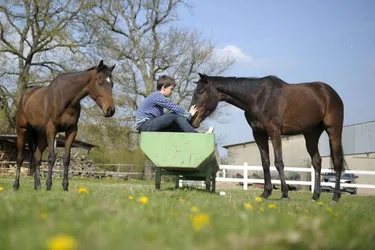 A Paray-le-Frésil, la famille Durot donne une deuxième chance aux chevaux de course