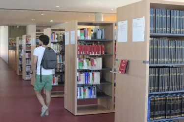 Une ouverture à la culture de la bibliothèque universitaire
