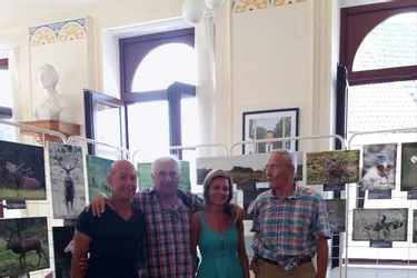 La faune sauvage cantalienne en mairie