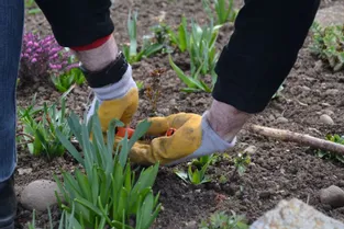 Quelles sont les tâches du jardinier à l’arrivée du printemps ? Comment prépare-t-il la saison ?
