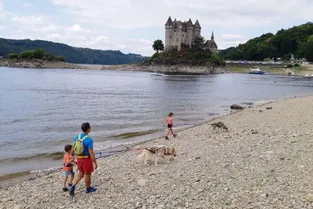 Une cani-marche au départ du château