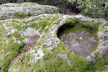 Rochers à bassins : des pierres à touristes sans trace préhistorique