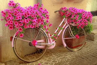 Vélos fleuris en fête les 3 et 4 juillet