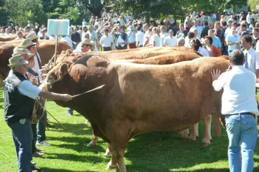 Les 29, 30 et 31 août, 500 éleveurs à Brive pour le Festival de l'élevage