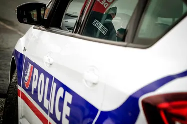 La police libère deux chiens et une chèvre enfermés dans des voitures au Puy-en-Velay (Haute-Loire)