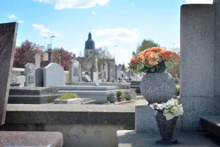 La sexagénaire avait volé trois arbustes dans un cimetière de l'Allier