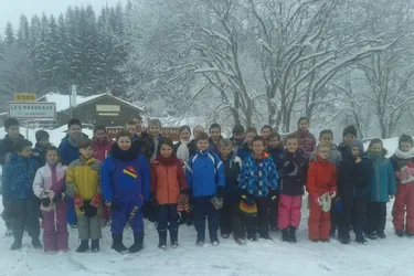 Activités hivernales pour les écoliers