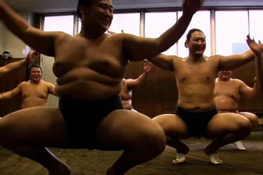 Plongée dans l’intimité d’un apprenti sumo
