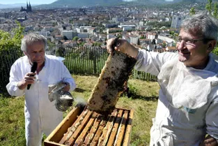 Récolte, hier, des six ruches installées au parc Montjuzet et sur le toit du musée Bargoin