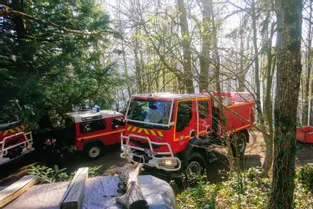 Corrèze : près de deux hectares de sous-bois détruits par un incendie