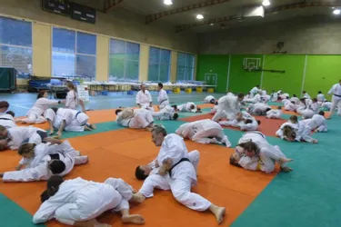 Portes ouvertes au judo-club vicomtois