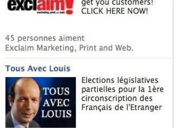 Un couac dans la campagne numérique de Louis Giscard d'Estaing