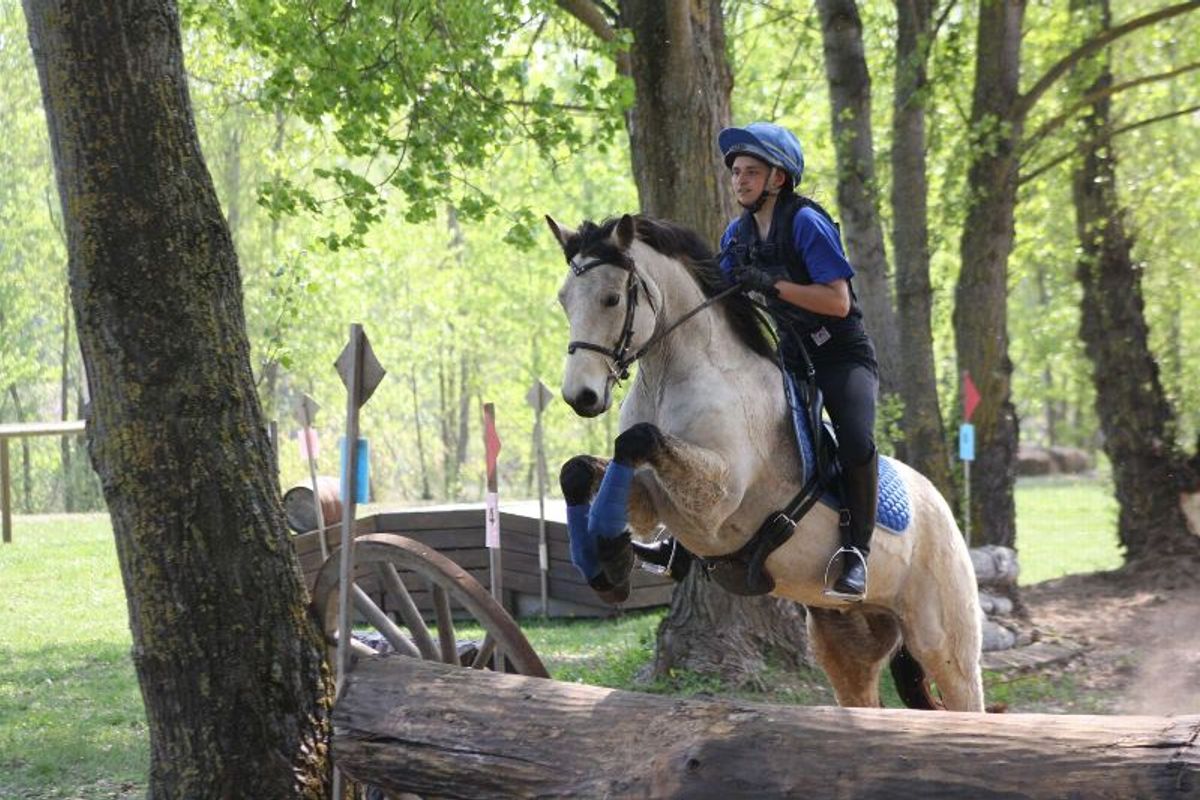 Casquette Boule équine Kerrits Rebecca Farm 2018 - Grise - Concours Complet - Occasion