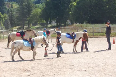Equitation : un nouvel élan pour les écuries du Nord-Cantal