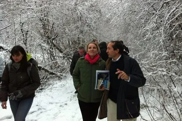 Chaîne des Puys au patrimoine de l'Unesco : la ministre se déclare "très confiante"