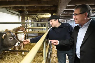 Un agriculteur de Corrèze fait rimer veau avec bio