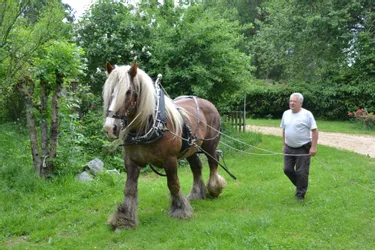 Sa passion pour les chevaux le mène jusque dans les forêts du Livradois-Forez (Puy-de-Dôme)