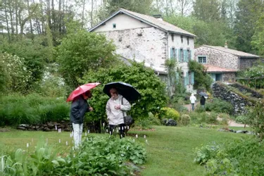 Un rendez-vous aux jardins pluvieux
