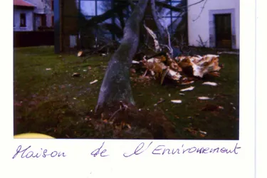 Au mois de décembre 1999 une tempête ravage toute la France : le Livradois-Forez (Puy-de-Dôme) n'a pas été épargné