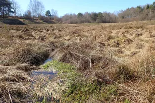 L’Établissement public Loire dresse l’inventaire des zones humides du bassin de la Sioule
