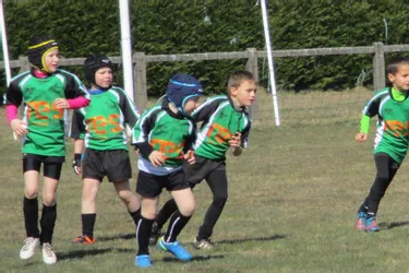 RC Sancy : reprise de l'école de rugby