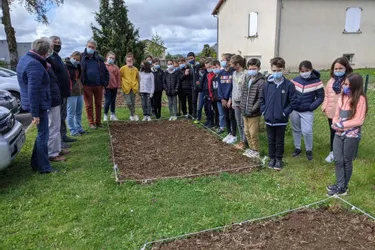 Le projet de jardin potager prend son essor pour les élèves de CM2 et leur enseignante
