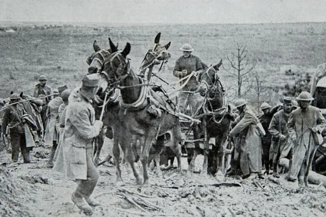 Lot De 24 Photos Anciennes Vers 1900 - Manœuvres Militaires, Généraux, Chevaux - France - Boîte De Rangement