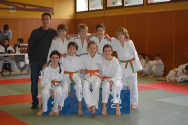 Dix médailles pour le Judo Club Ytracois
