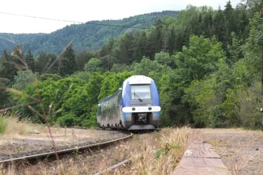 Un TGV sur deux et un TER sur six ce vendredi en Auvergne-Rhône-Alpes