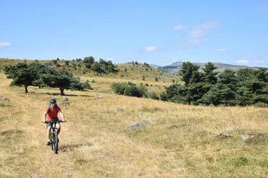 La communauté de communes de Hautes-Terres lance son étude du plan vélo pour relier Massiac au Lioran (Cantal)