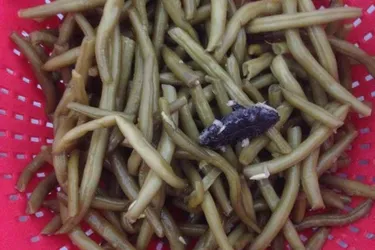 Une jeune maman découvre une grenouille dans une boîte de haricots verts
