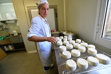 Hélène Meyrignac rajeunit la ferme ancestrale avec des fromages à Saint-Martin-la-Méanne (Corrèze)