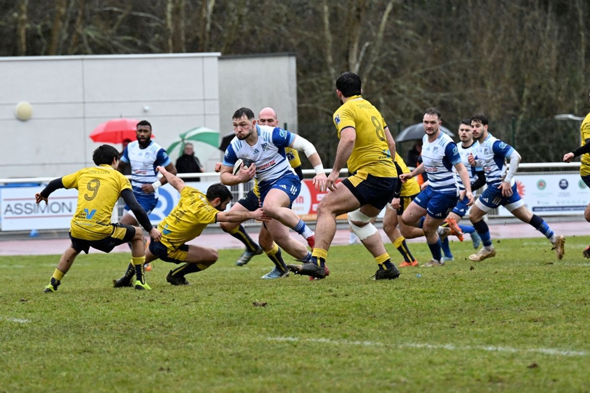 Une belle victoire en rugby contre Tulle - Neuvic (19160