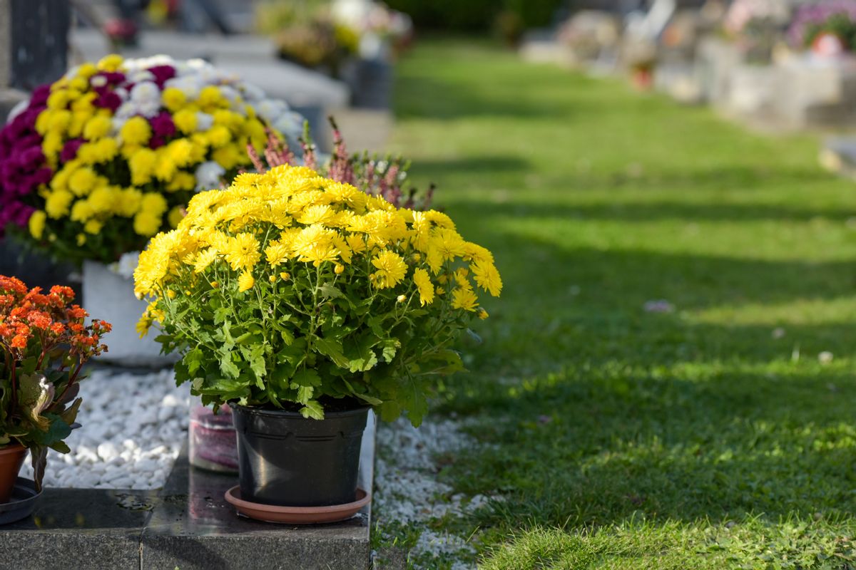 Décès à Saint-Bouize : les avis d'obsèques du samedi 16 mai
