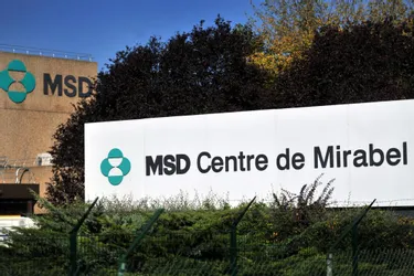 Le laboratoire MSD-Chibret à Riom doit innover pour rester compétitif