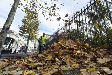 500 tonnes de feuilles mortes ramassées par les agents de Clermont-Ferrand