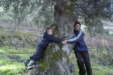 Du Portugal à la Haute-Vienne, José Gregorio a sauvé les oliveraies de sa famille