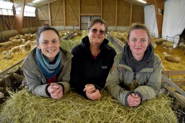 Trois femmes, trois productions : on a rencontré Lucette et ses filles, heureuses agricultrices dans le Puy-de-Dôme